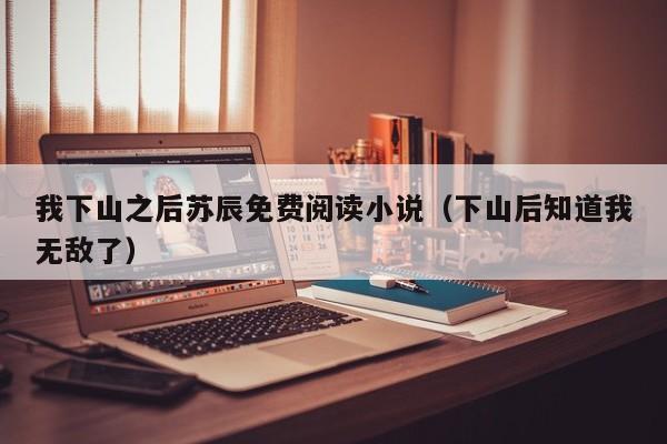 我下山之后苏辰免费阅读小说（下山后知道我无敌了）