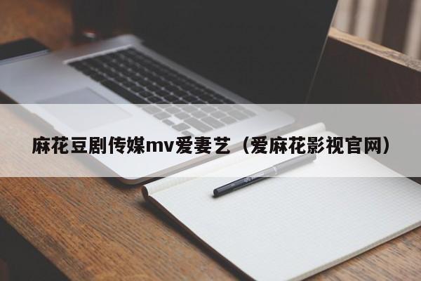 麻花豆剧传媒mv爱妻艺（爱麻花影视官网）