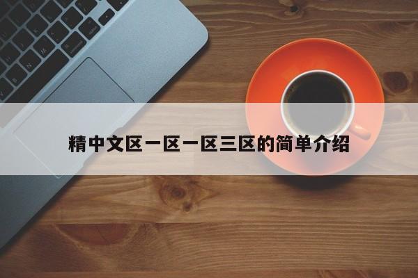 精中文区一区一区三区的简单介绍
