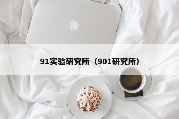 91实验研究所(901研究所)